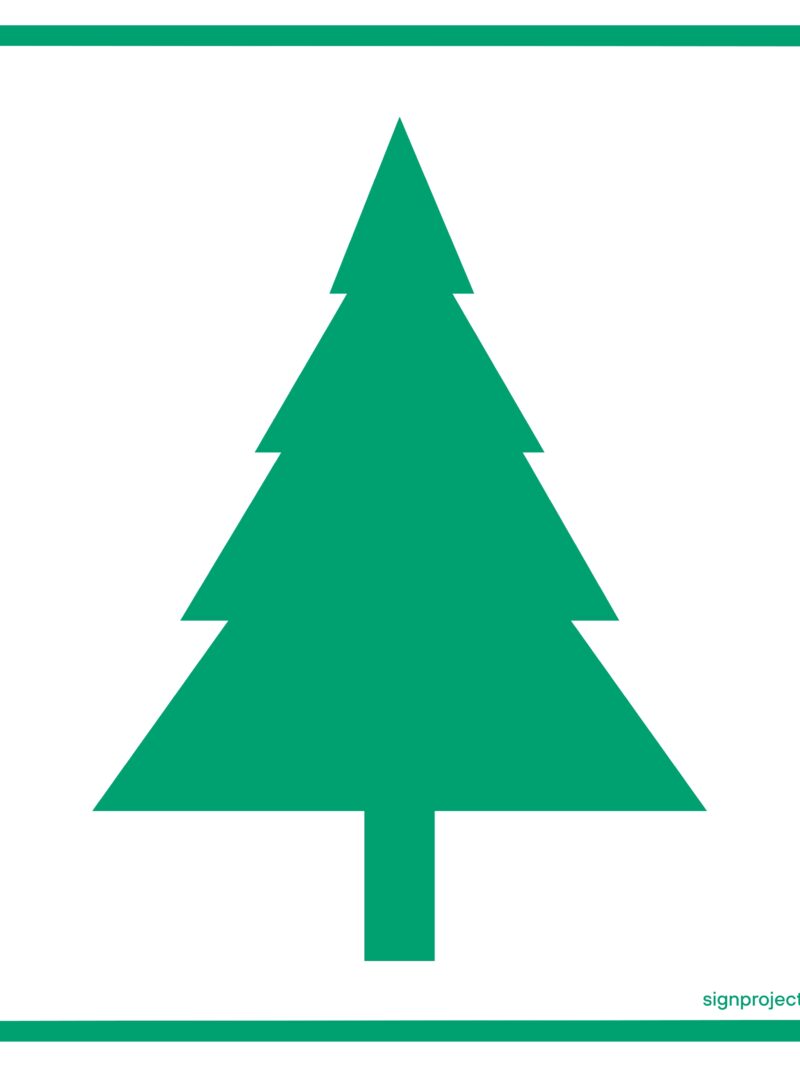 OD013 Skupisko drzew iglastych