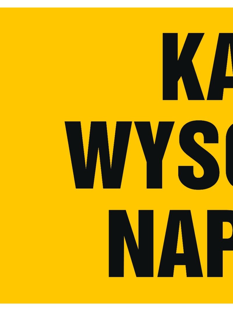 HB005 Kabel wysokiego napięcia -  8 naklejek -  8 naklejek