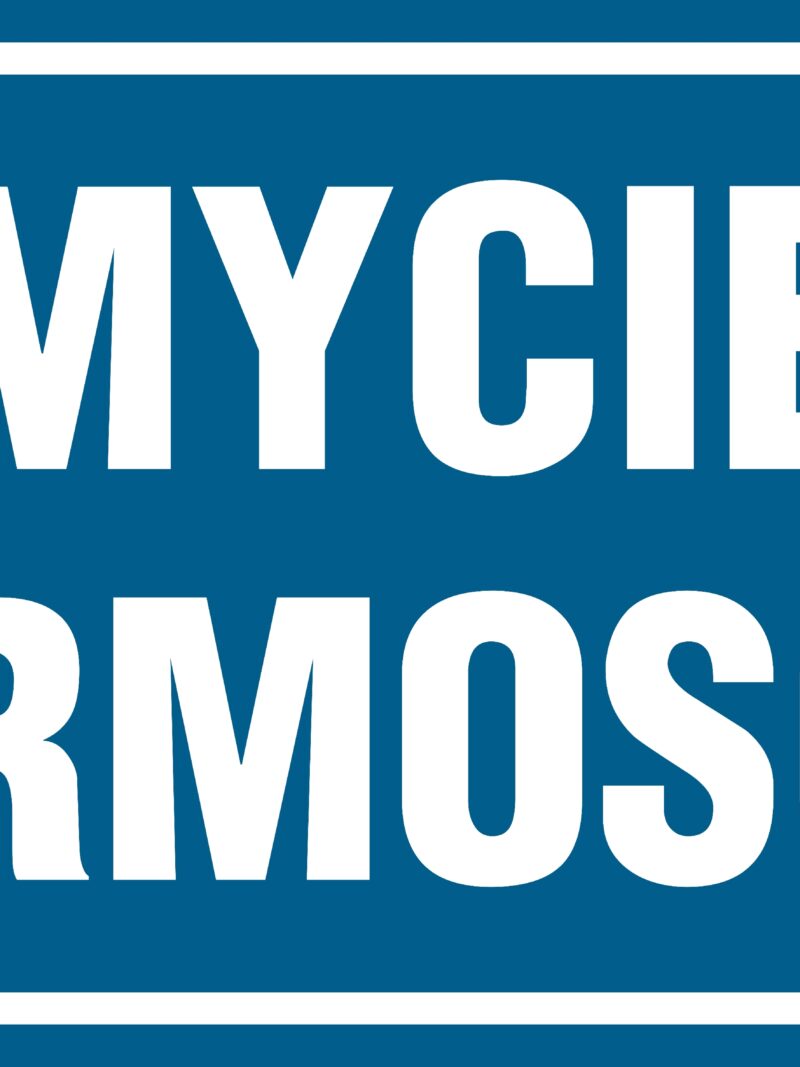 PA282 Mycie termosów